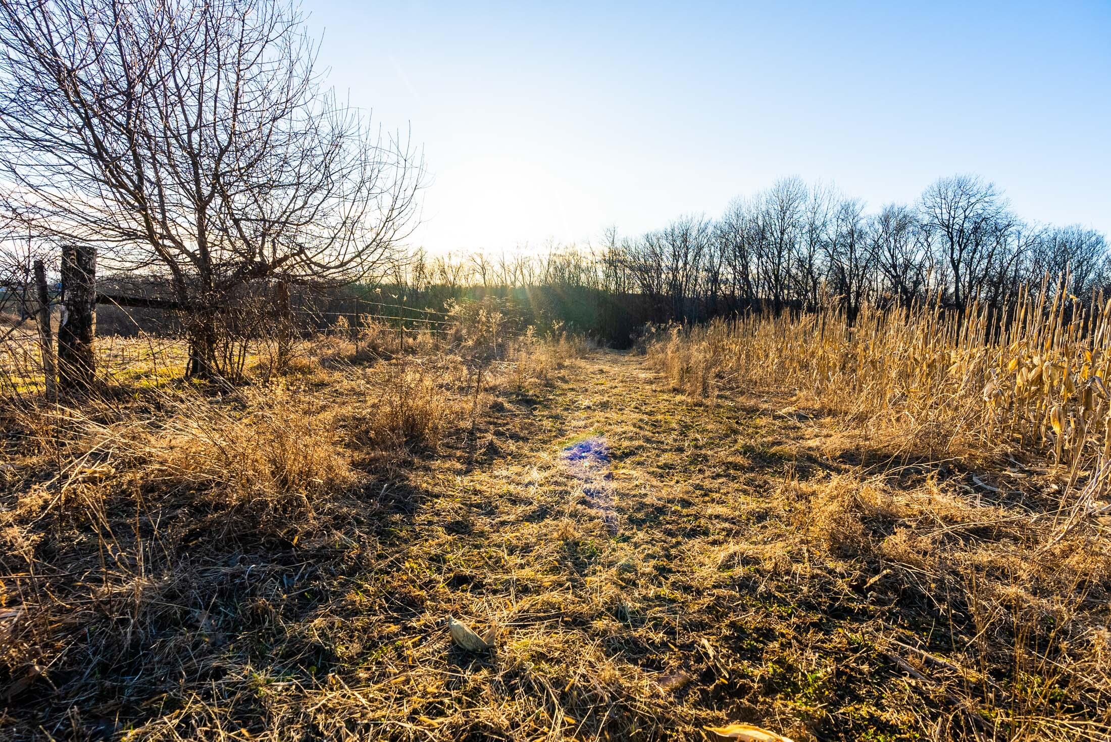 Lt0 Lt0 County Road Boscobel, WI 53805 - Photo 63 of 74 Crawford-County-WI-86-Acres-Land-For-Sal