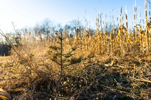 $650,000 | Lt0 Lt0 County Road, Boscobel, WI 53805