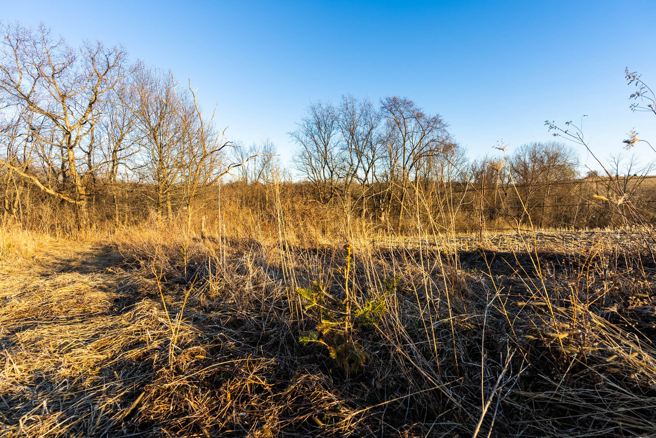 Lt0 Lt0 County Road Boscobel, WI 53805 - Photo 65 of 74 Crawford-County-WI-86-Acres-Land-For-Sal