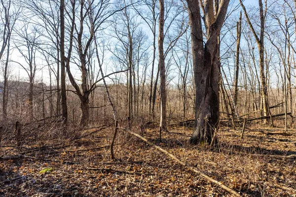 $650,000 | Lt0 Lt0 County Road, Boscobel, WI 53805