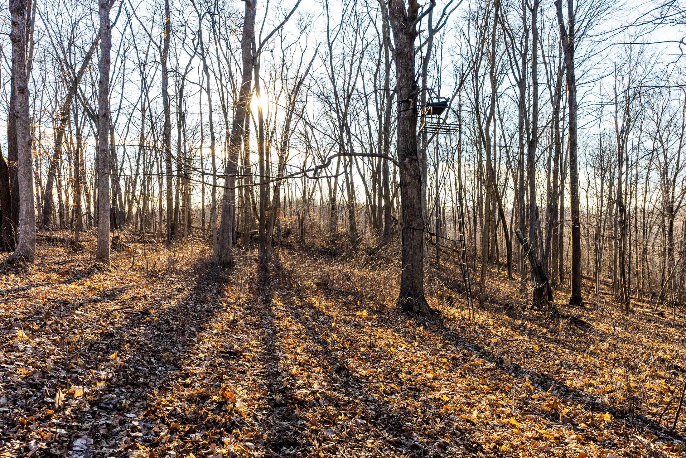 Lt0 Lt0 County Road Boscobel, WI 53805 - Photo 69 of 74 Crawford-County-WI-86-Acres-Land-For-Sal