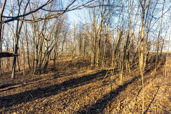 $650,000 | Lt0 Lt0 County Road, Boscobel, WI 53805