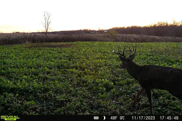 $650,000 | Lt0 Lt0 County Road, Boscobel, WI 53805