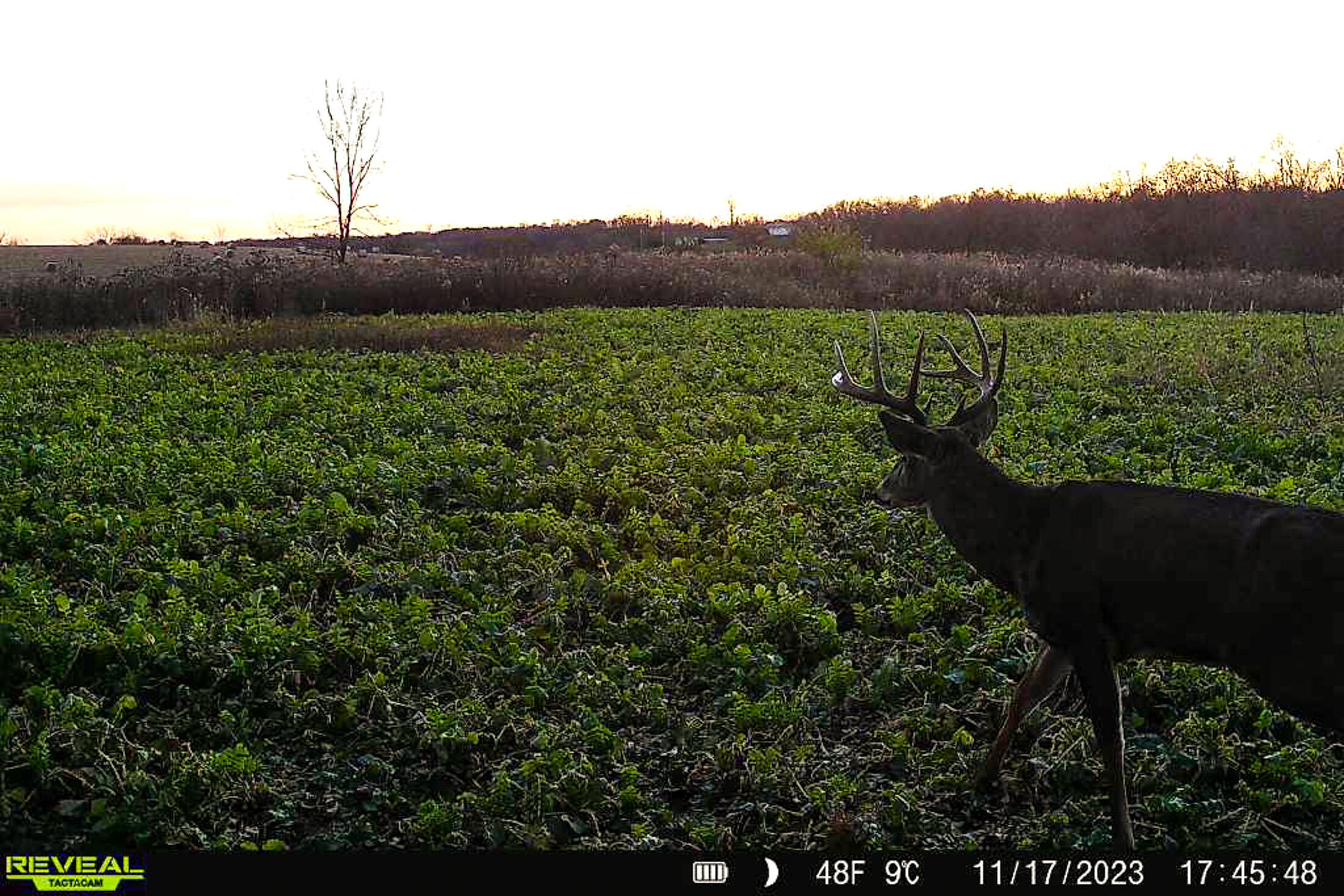 Lt0 Lt0 County Road Boscobel, WI 53805 - Photo 7 of 74 Crawford-County-WI-86-Acres-Land-For-Sal