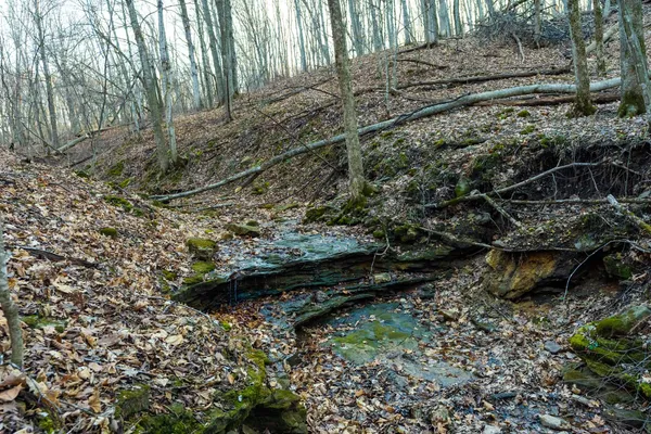 $650,000 | Lt0 Lt0 County Road, Boscobel, WI 53805