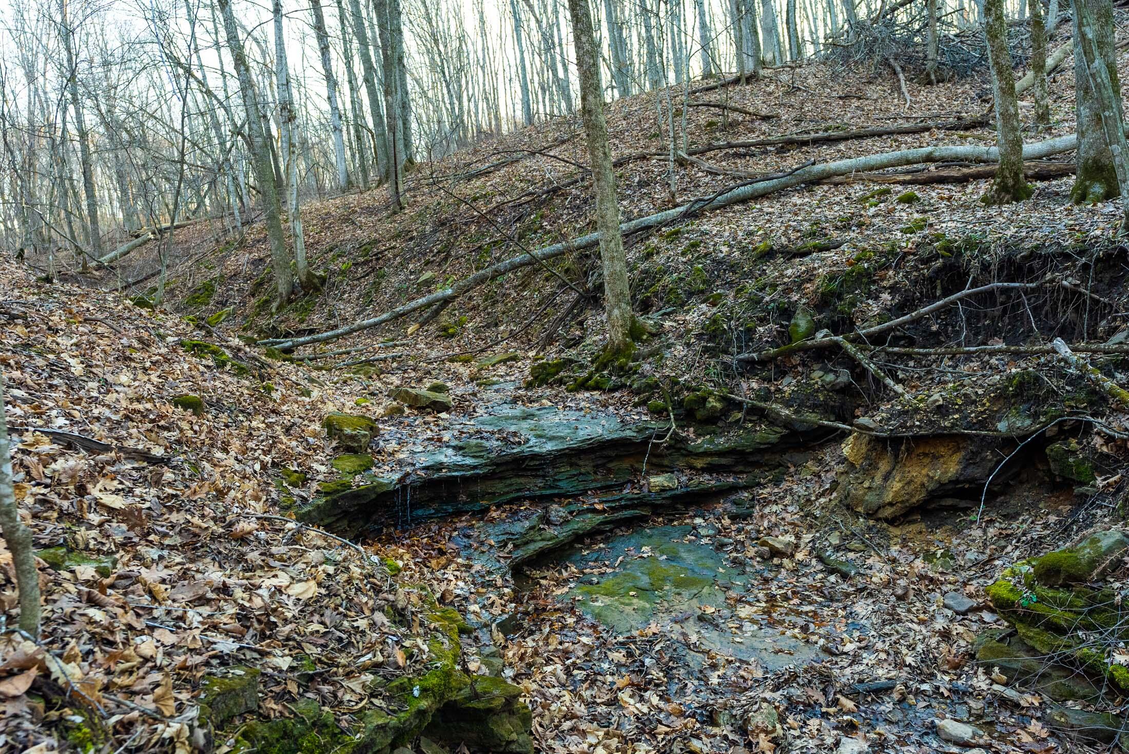 Lt0 Lt0 County Road Boscobel, WI 53805 - Photo 71 of 74 Crawford-County-WI-86-Acres-Land-For-Sal