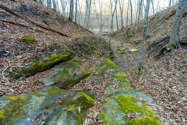 $650,000 | Lt0 Lt0 County Road, Boscobel, WI 53805