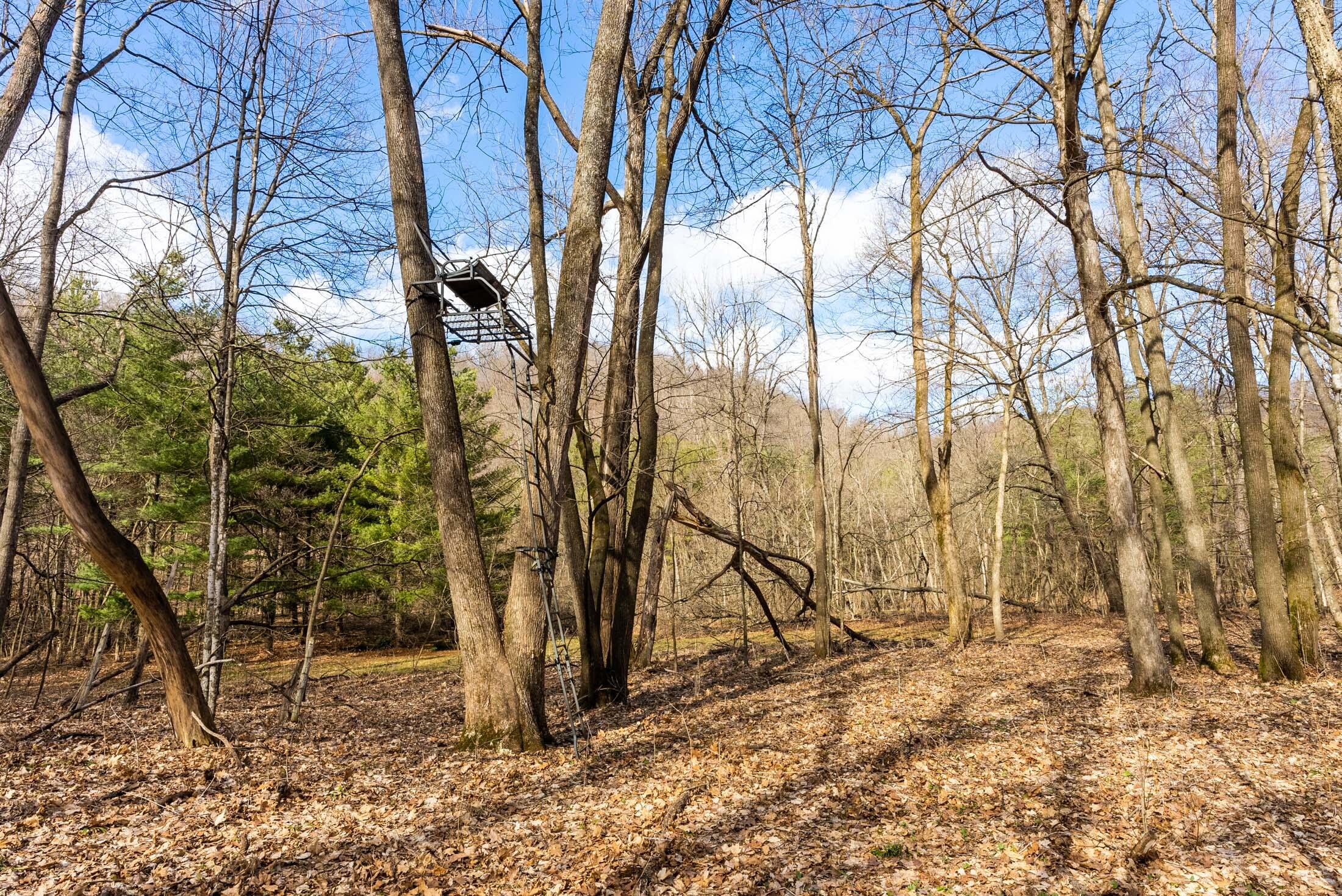 Lt0 Lt0 County Road Boscobel, WI 53805 - Photo 10 of 74 Crawford-County-WI-86-Acres-Land-For-Sal