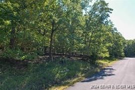 7 Columbine Road Four Seasons, MO 65049 - Photo 2 of 12 Paved Roads