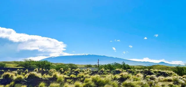a view of a large building