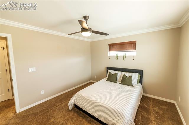 2415 Reed Grass Way Colorado Springs, CO 80915 - Photo 37 of 50 Gallery Image 37