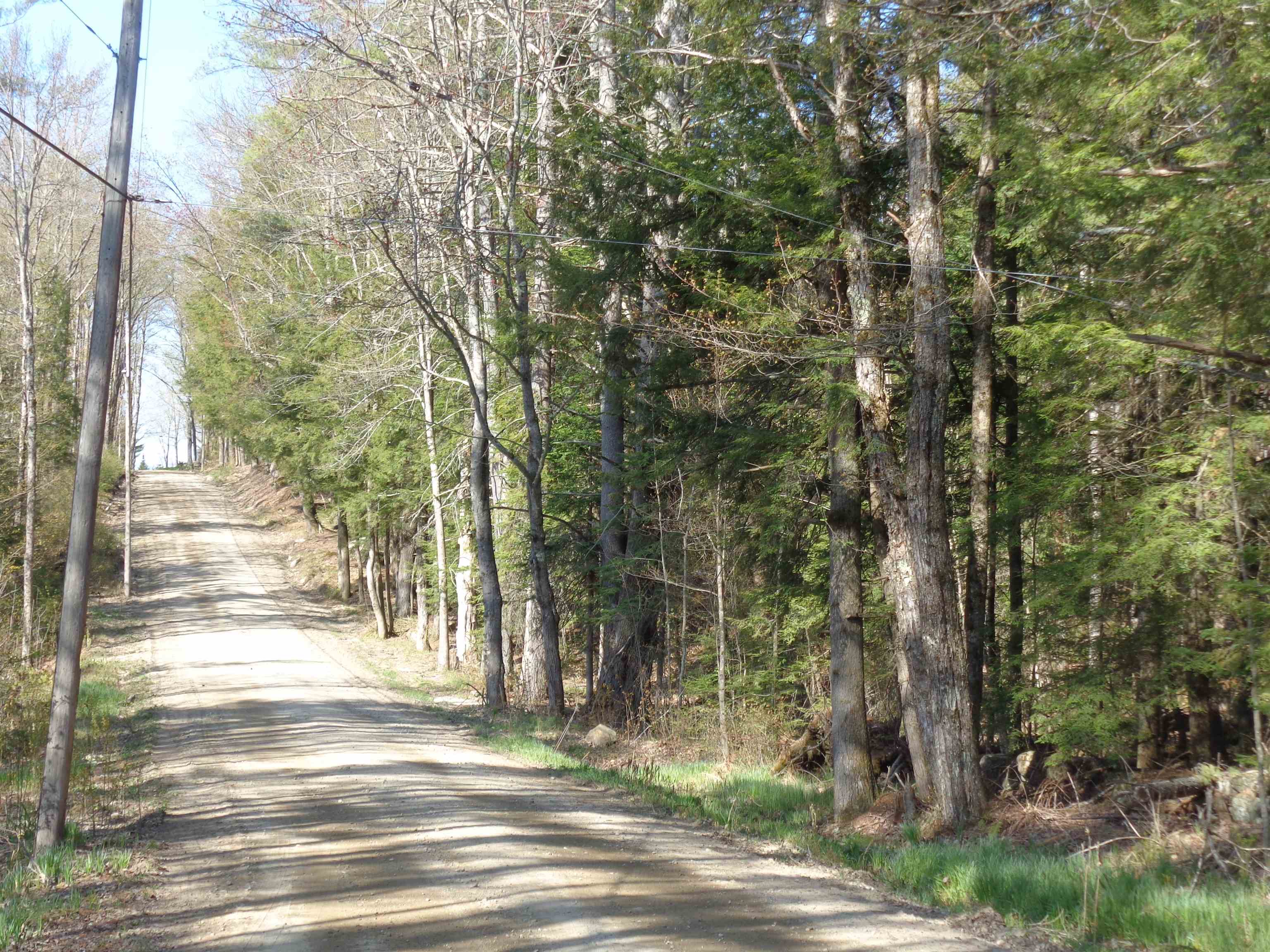 Lot 5 Wiggin Road Danbury, NH 03230 - Photo 1 of 20