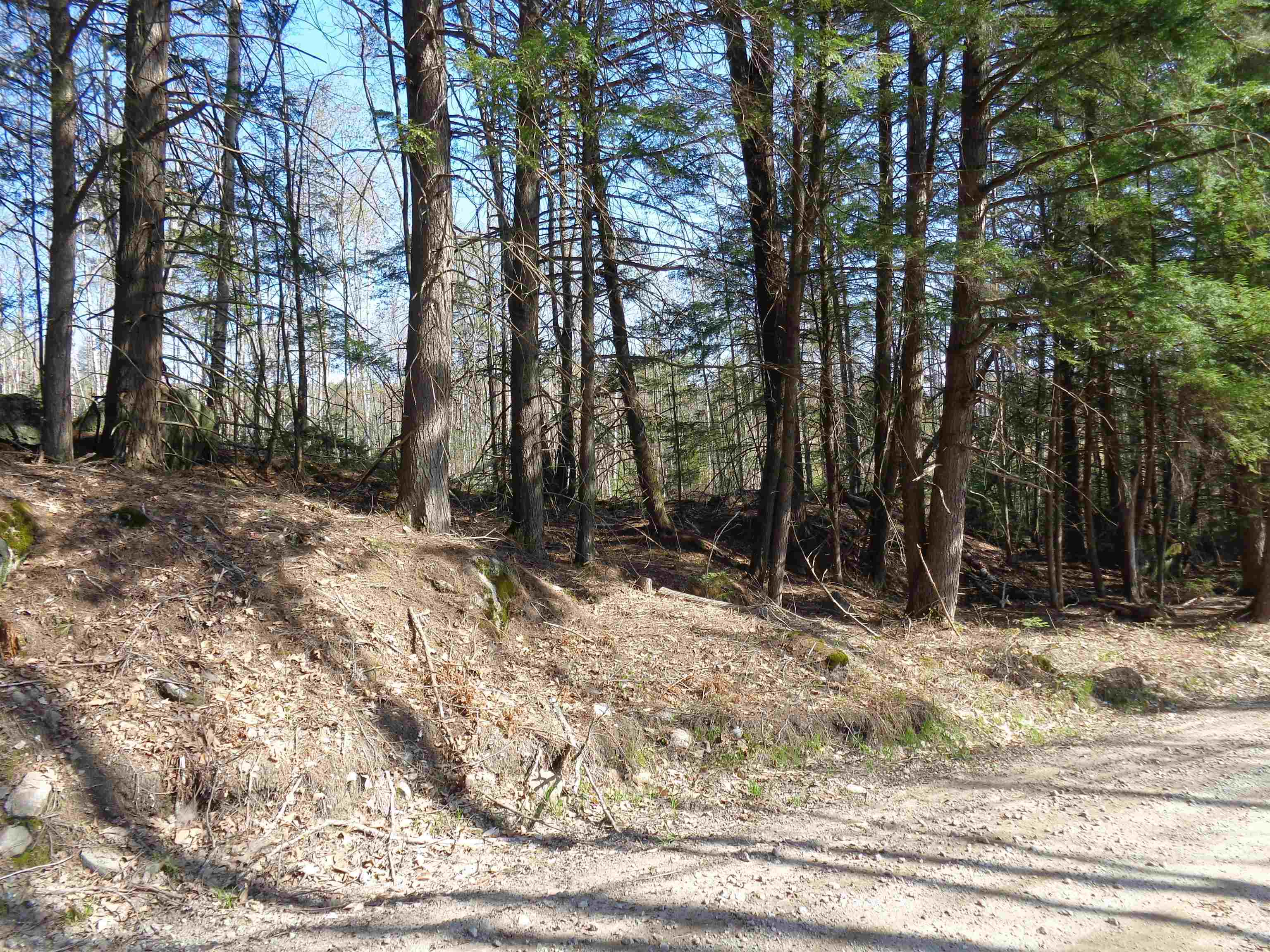 Lot 5 Wiggin Road Danbury, NH 03230 - Photo 12 of 20