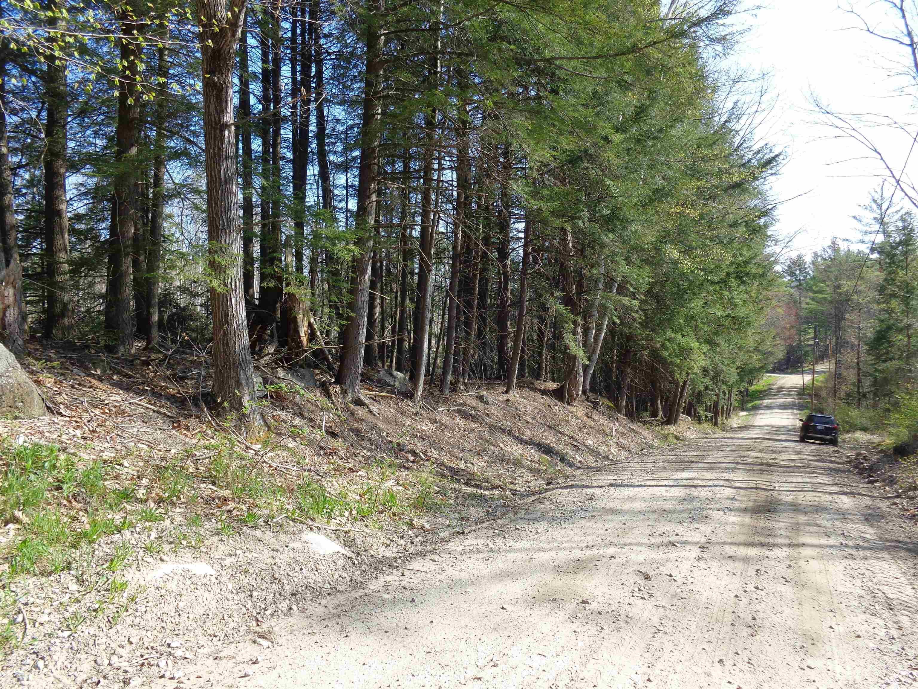 Lot 5 Wiggin Road Danbury, NH 03230 - Photo 13 of 20
