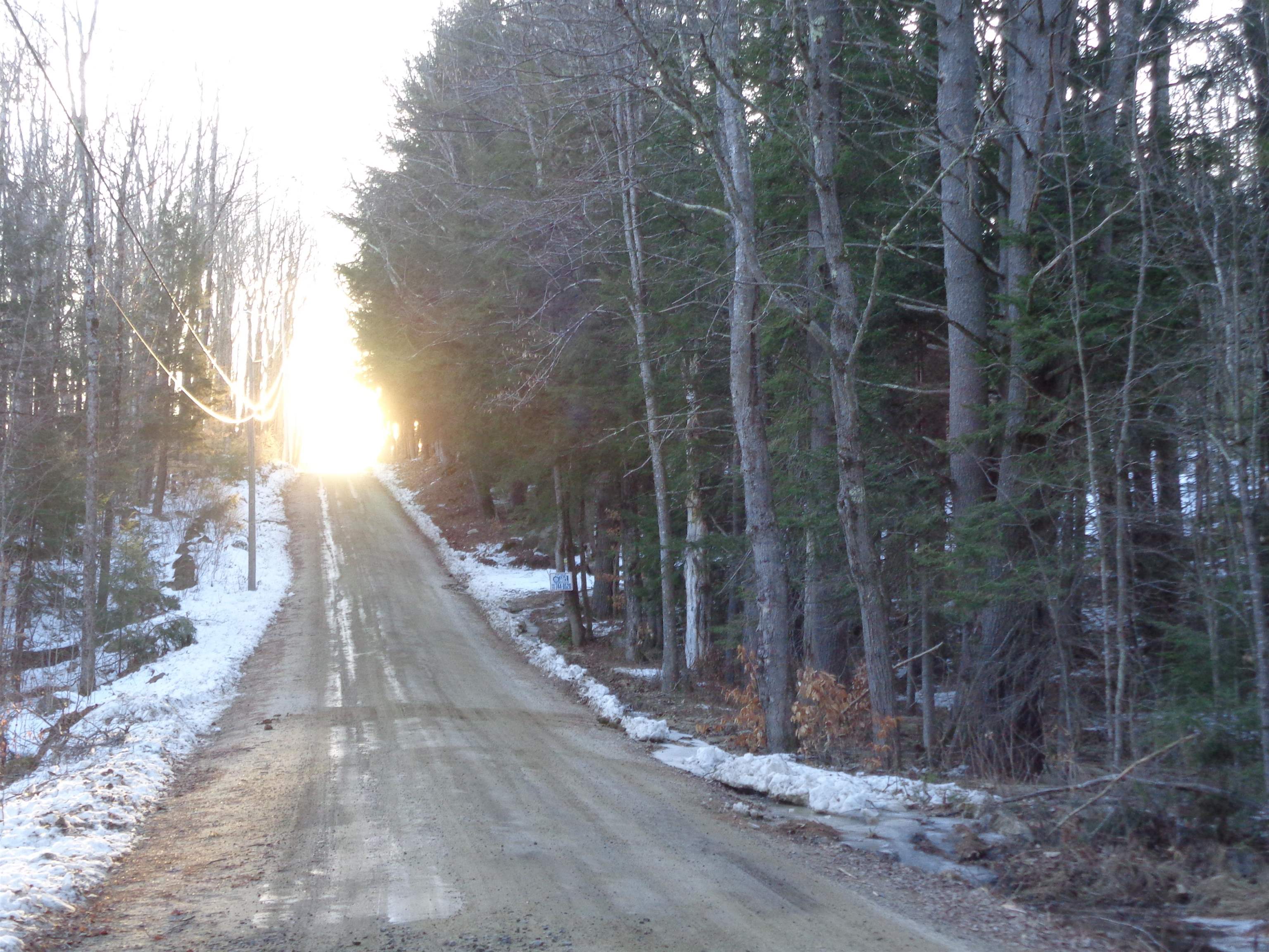 Lot 5 Wiggin Road Danbury, NH 03230 - Photo 15 of 20