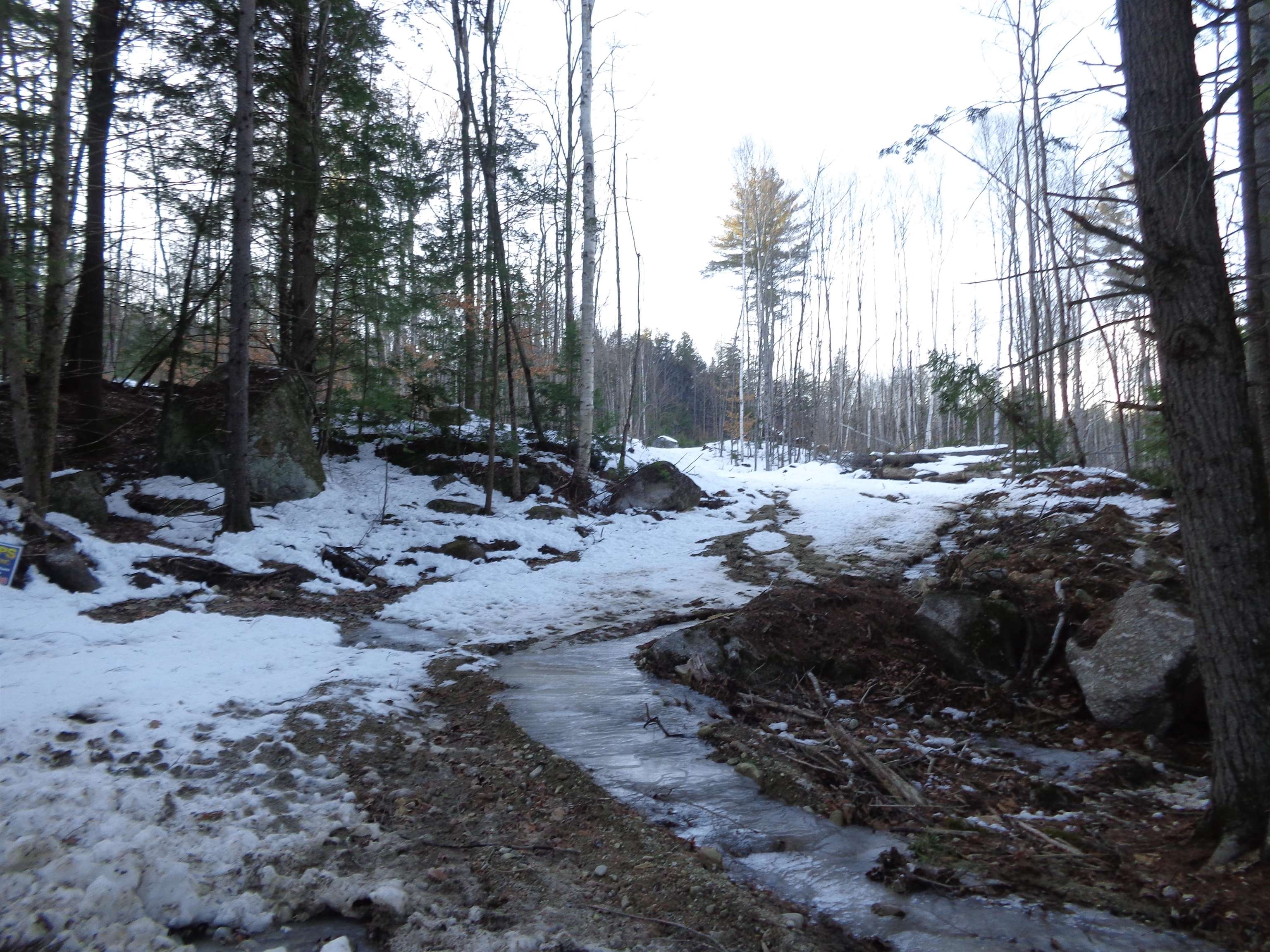 Lot 5 Wiggin Road Danbury, NH 03230 - Photo 16 of 20