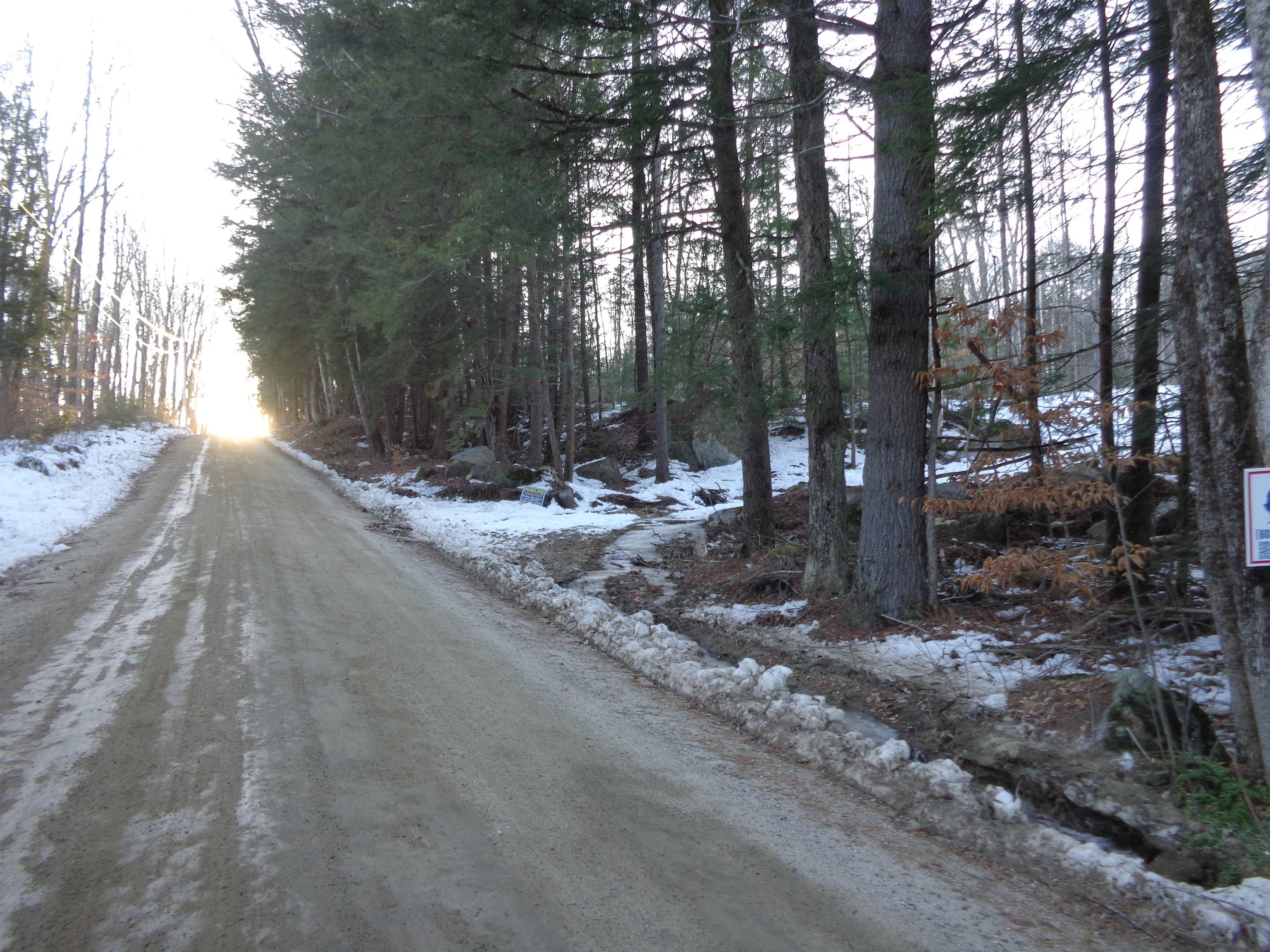 Lot 5 Wiggin Road Danbury, NH 03230 - Photo 17 of 20