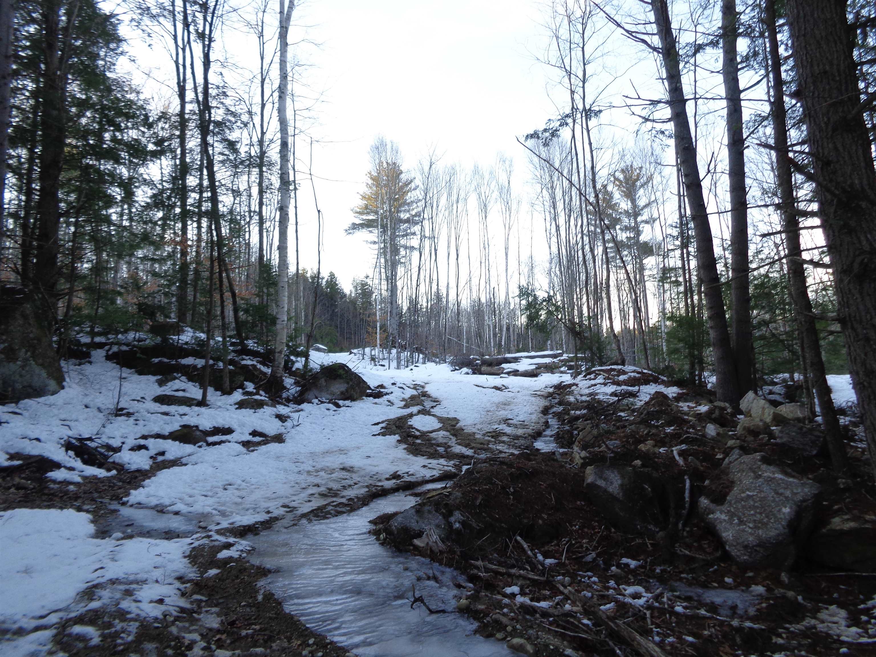 Lot 5 Wiggin Road Danbury, NH 03230 - Photo 18 of 20