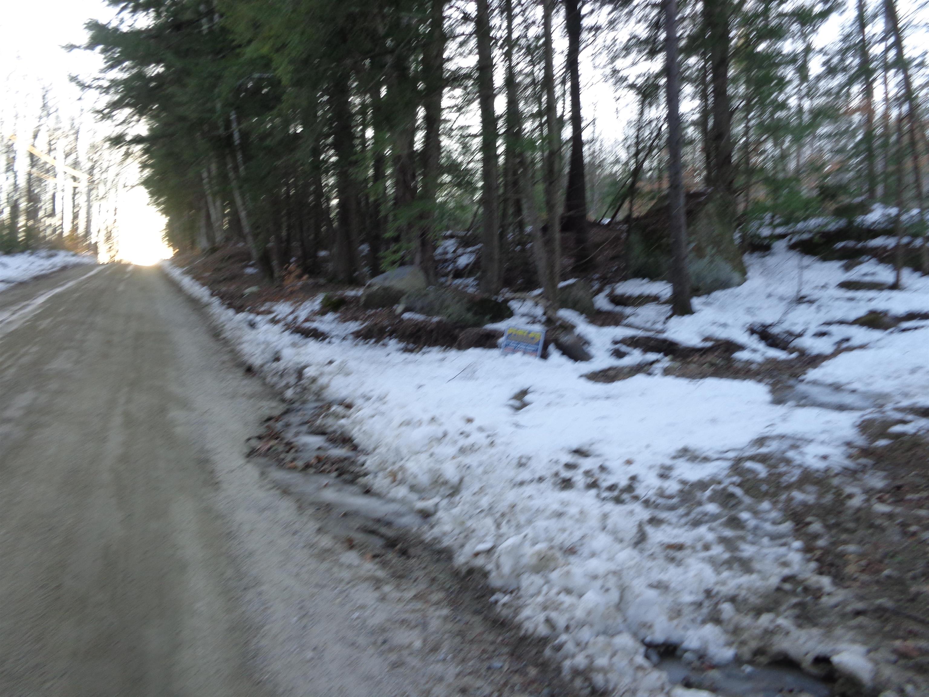 Lot 5 Wiggin Road Danbury, NH 03230 - Photo 19 of 20