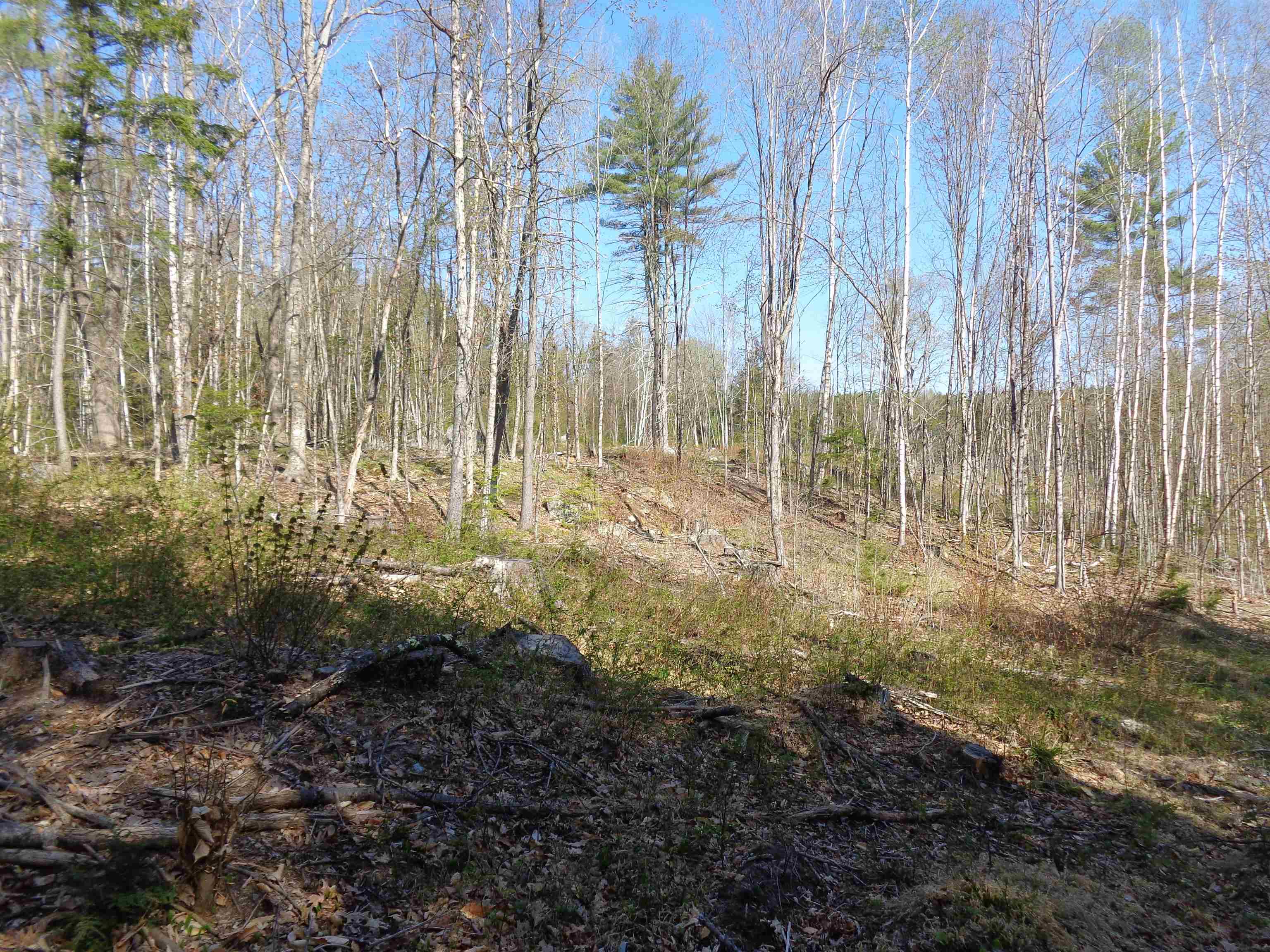 Lot 5 Wiggin Road Danbury, NH 03230 - Photo 3 of 20