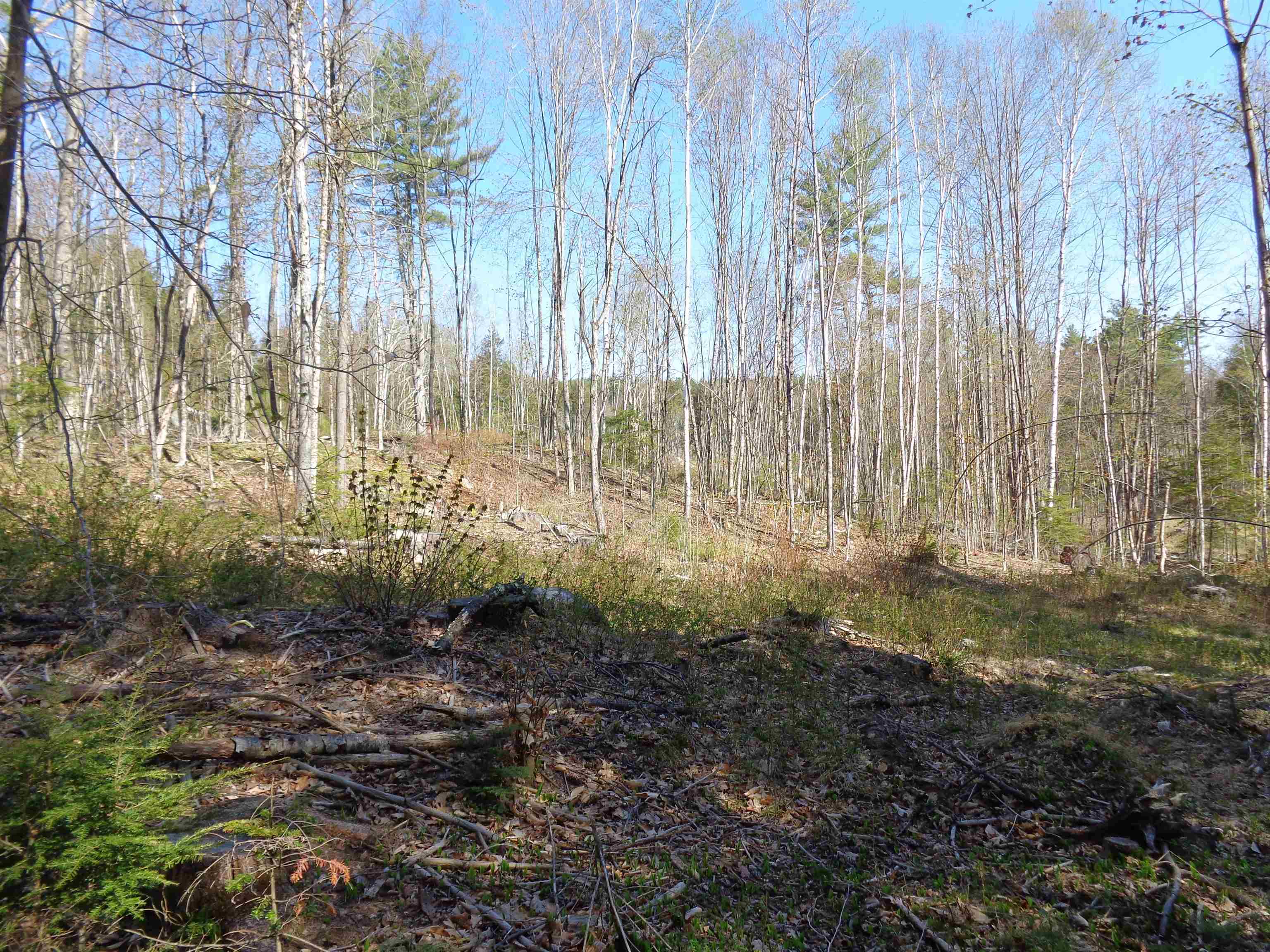 Lot 5 Wiggin Road Danbury, NH 03230 - Photo 4 of 20