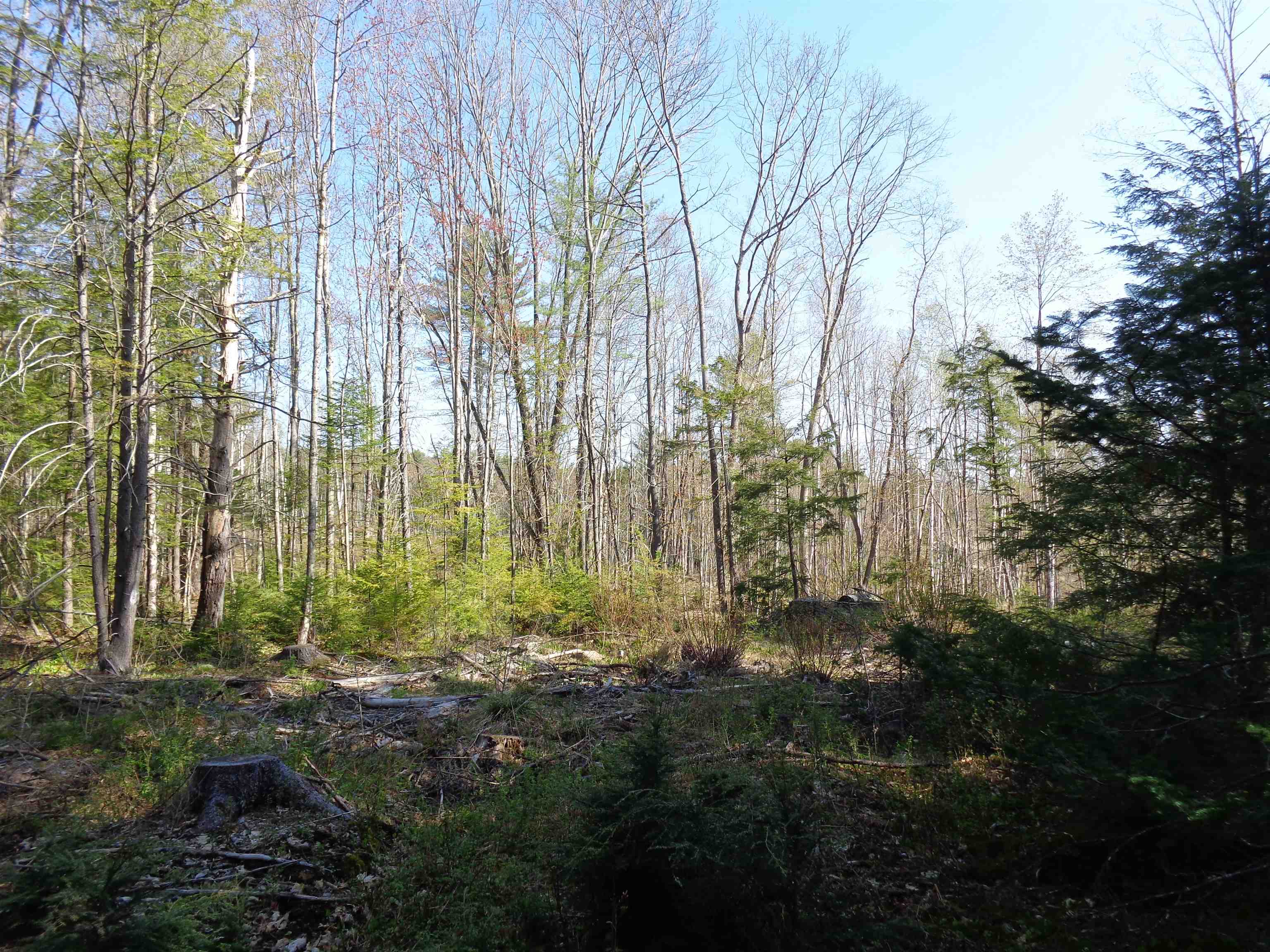 Lot 5 Wiggin Road Danbury, NH 03230 - Photo 5 of 20