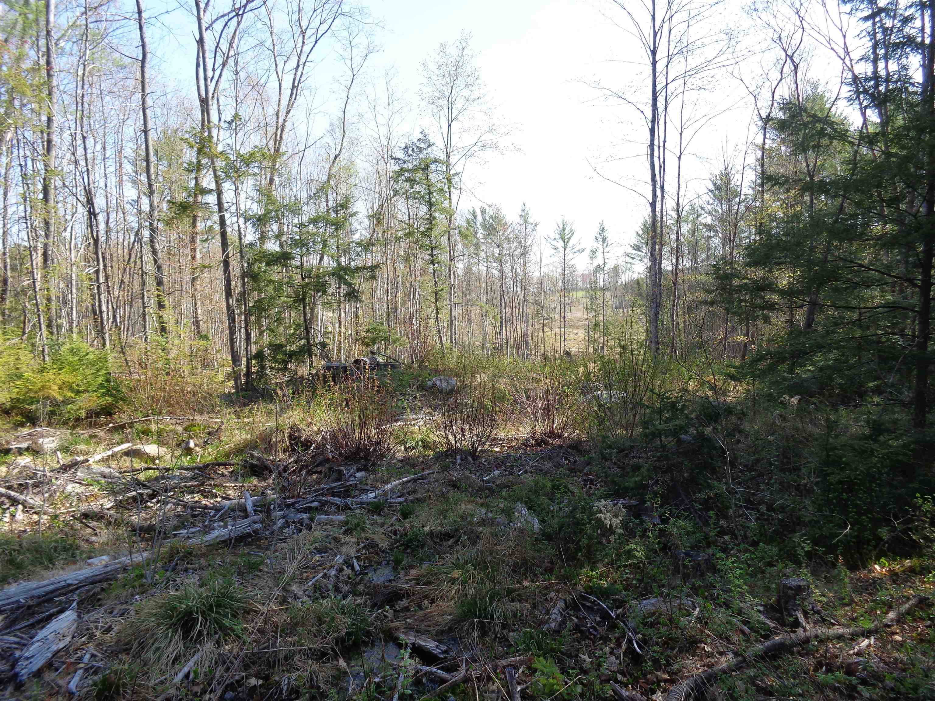 Lot 5 Wiggin Road Danbury, NH 03230 - Photo 6 of 20