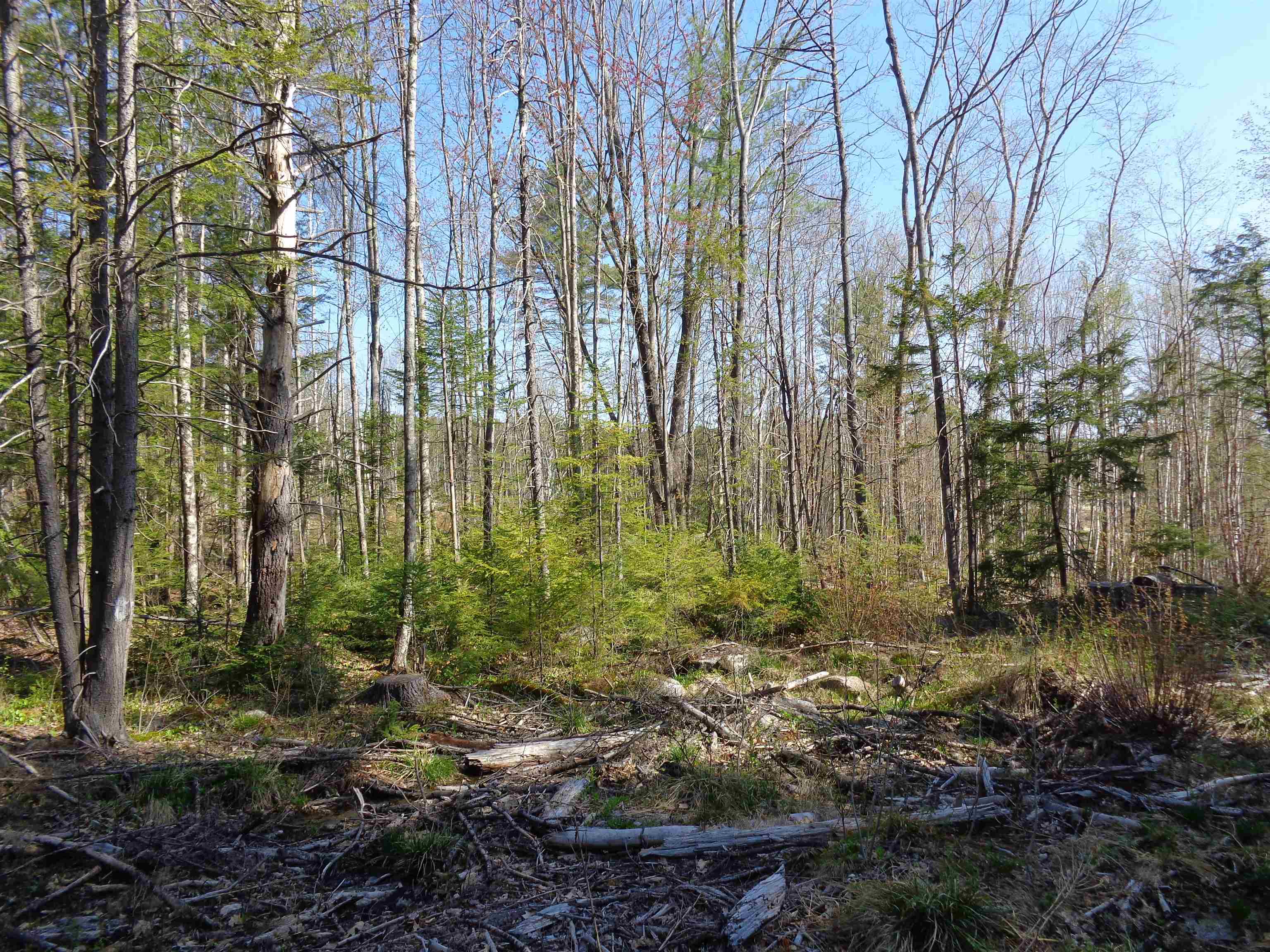 Lot 5 Wiggin Road Danbury, NH 03230 - Photo 7 of 20