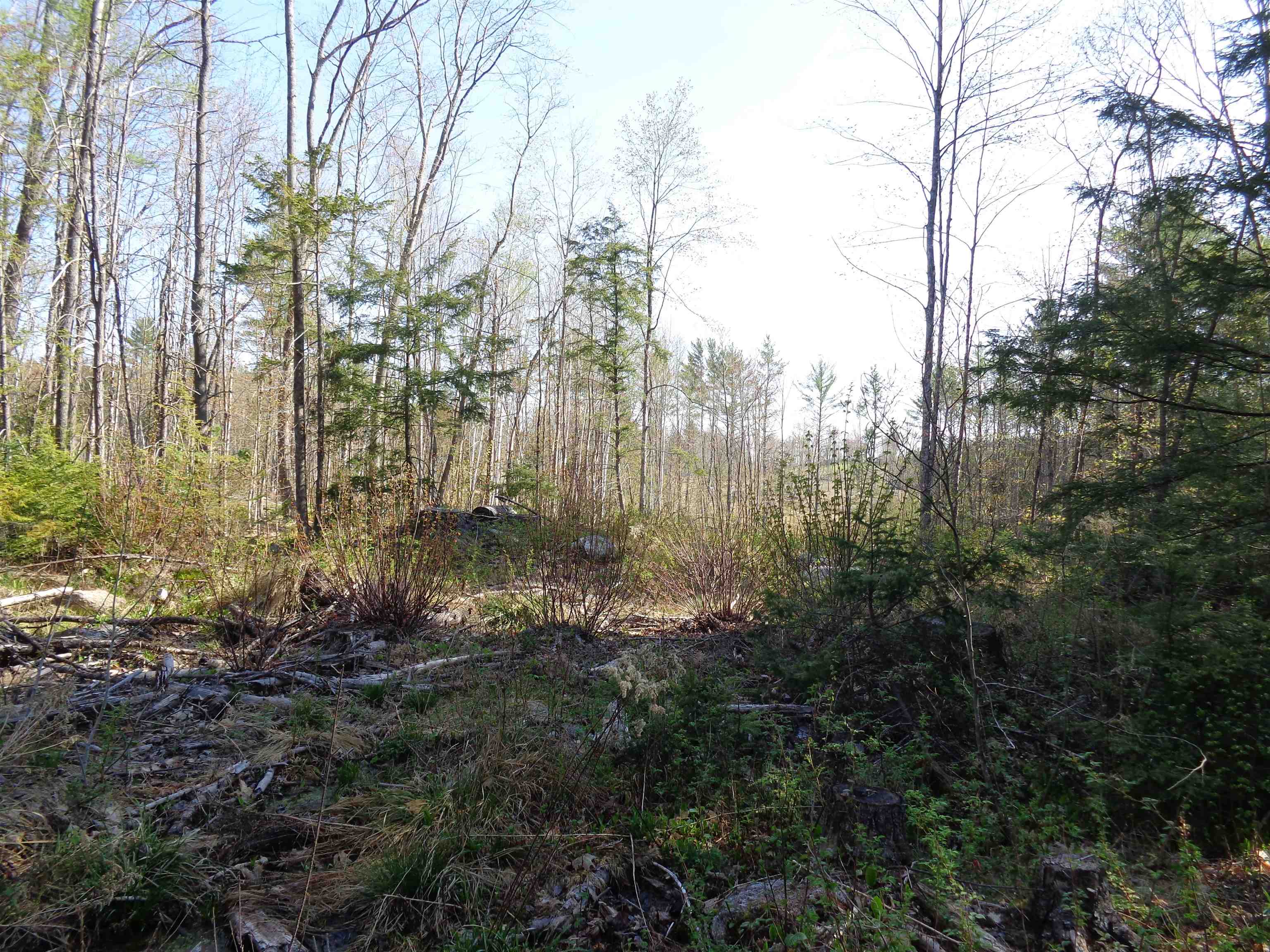 Lot 5 Wiggin Road Danbury, NH 03230 - Photo 8 of 20