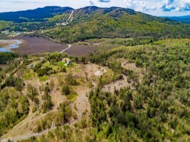 Lot 5 Wiggin Road Danbury, NH 03230 - Photo 9 of 20