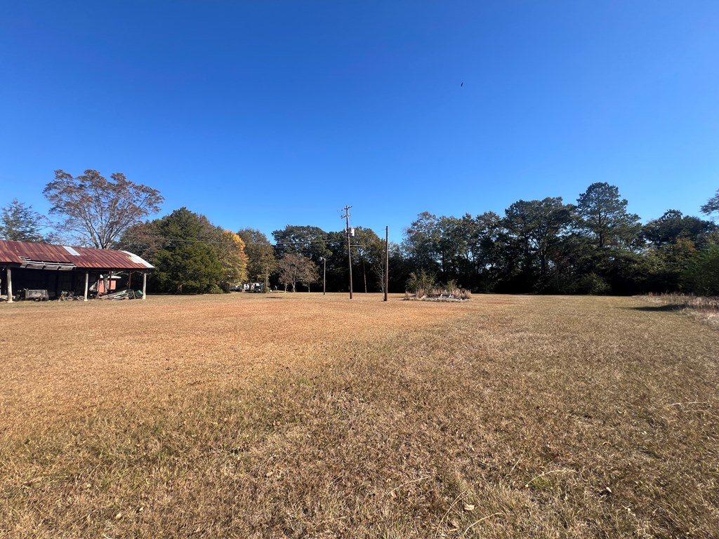 450 Meadows Road Ashford, AL 36312 - Photo 27 of 47 Gallery Image 27