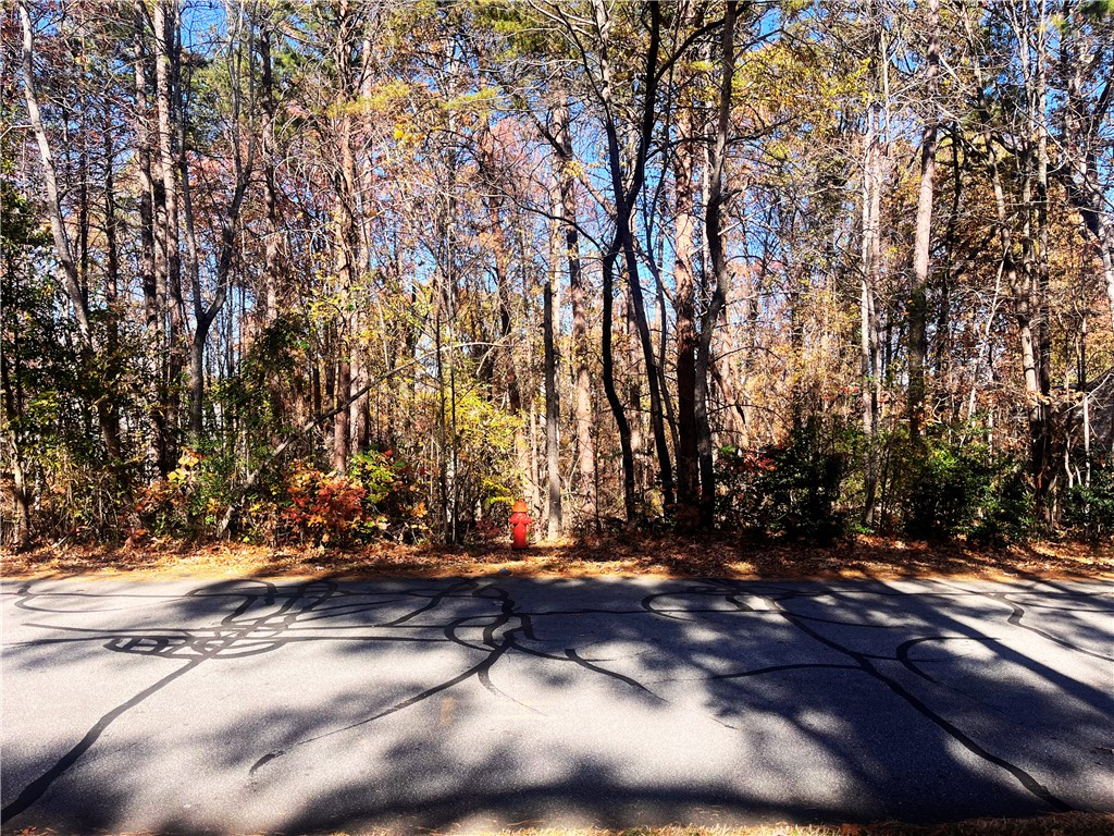 115 Beacon Ridge Circle Salem, SC 29676 - Photo 2 of 10