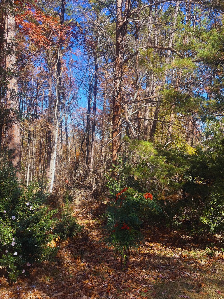 115 Beacon Ridge Circle Salem, SC 29676 - Photo 4 of 10