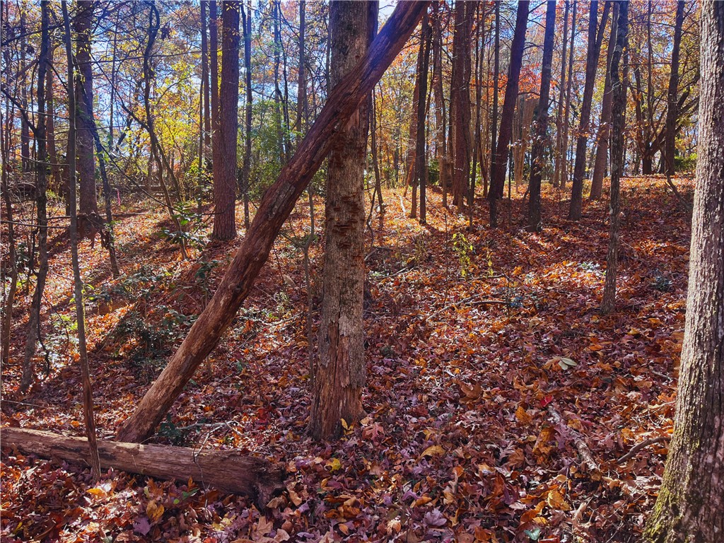 115 Beacon Ridge Circle Salem, SC 29676 - Photo 5 of 10