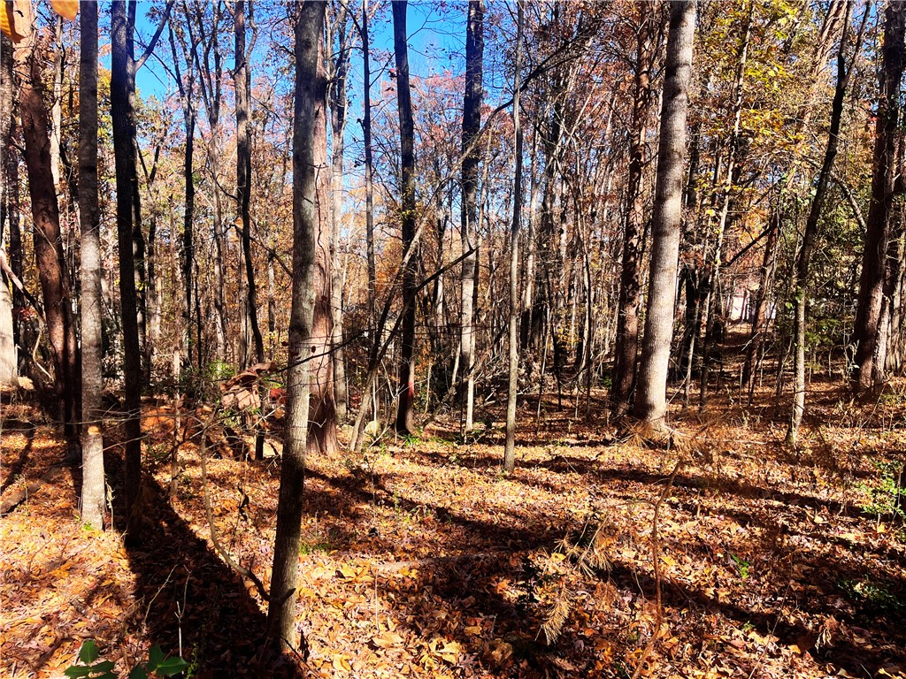 115 Beacon Ridge Circle Salem, SC 29676 - Photo 6 of 10