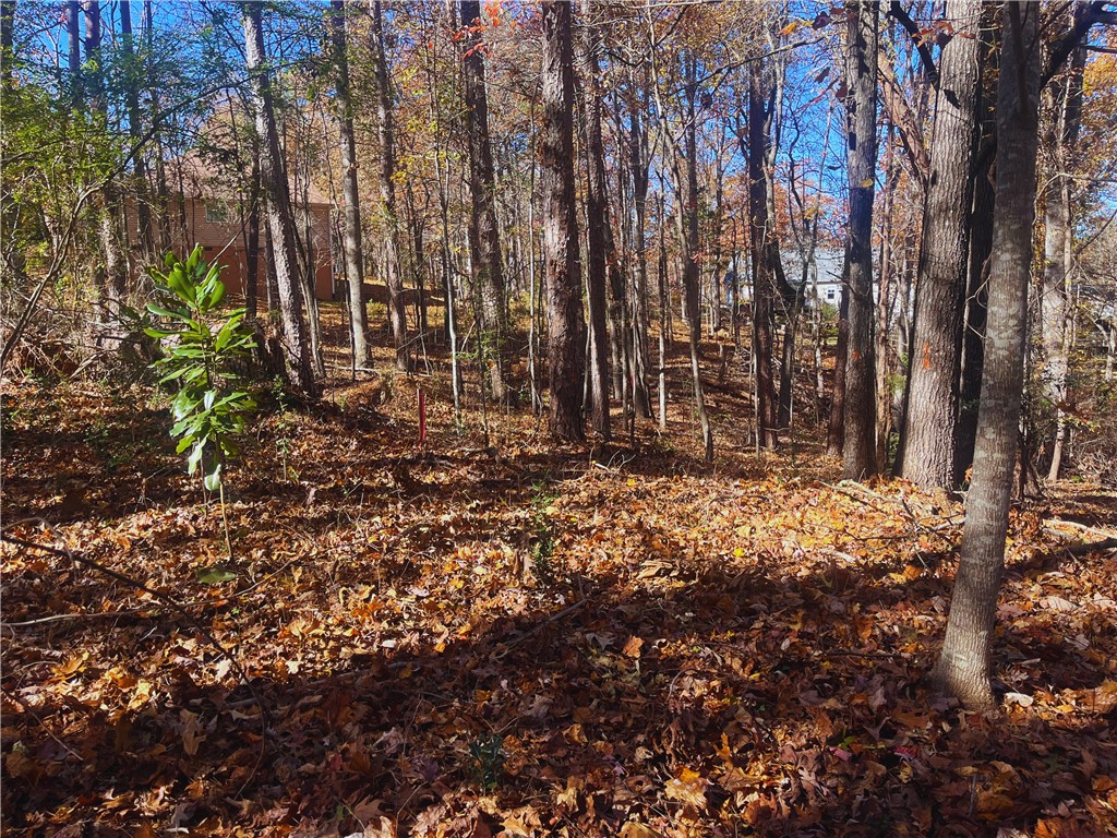 115 Beacon Ridge Circle Salem, SC 29676 - Photo 7 of 10