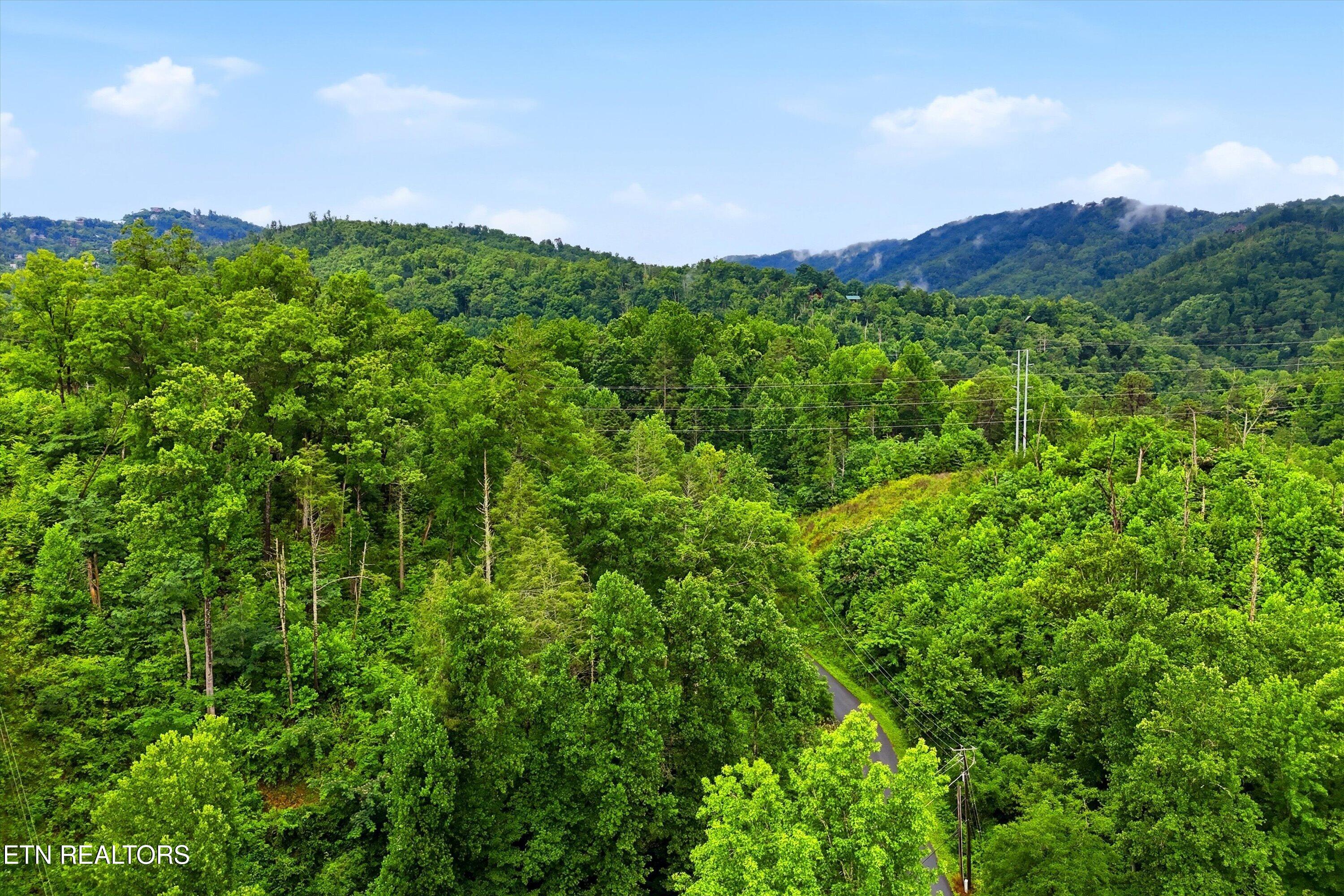 127 Beech Branch Road Gatlinburg, TN 37738 - Photo 10 of 18 17-FINAL-17