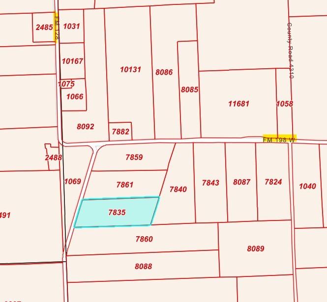 128 & Fm 198 Cooper, TX 75432 - Photo 2 of 3 Plat Map. Illustrating the boundaries and identifying numbers of various parcels, including the highlighted property