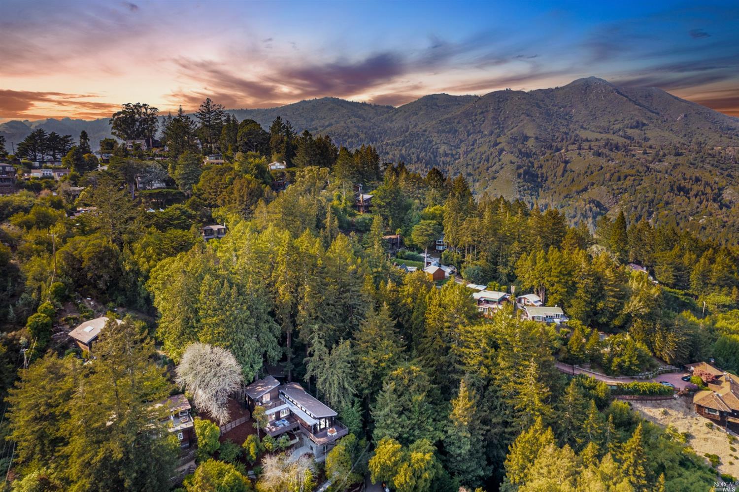 655 Edgewood Avenue Mill Valley, CA 94941 - Photo 14 of 85