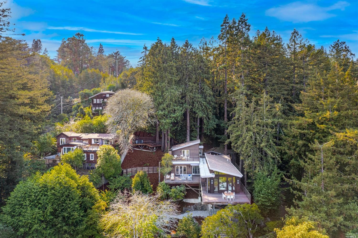 655 Edgewood Avenue Mill Valley, CA 94941 - Photo 7 of 85 aerial view of a house with a garden