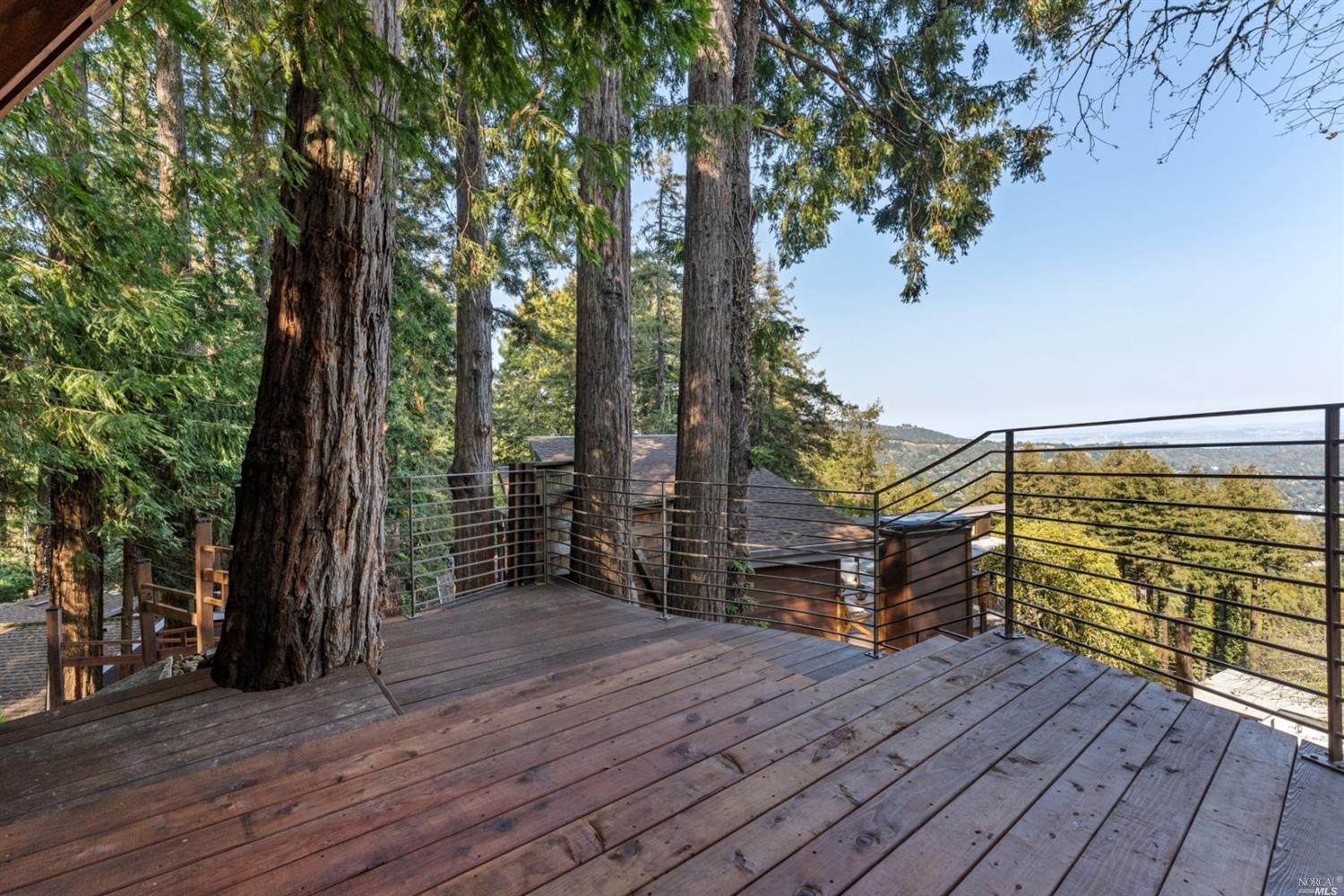 655 Edgewood Avenue Mill Valley, CA 94941 - Photo 66 of 85