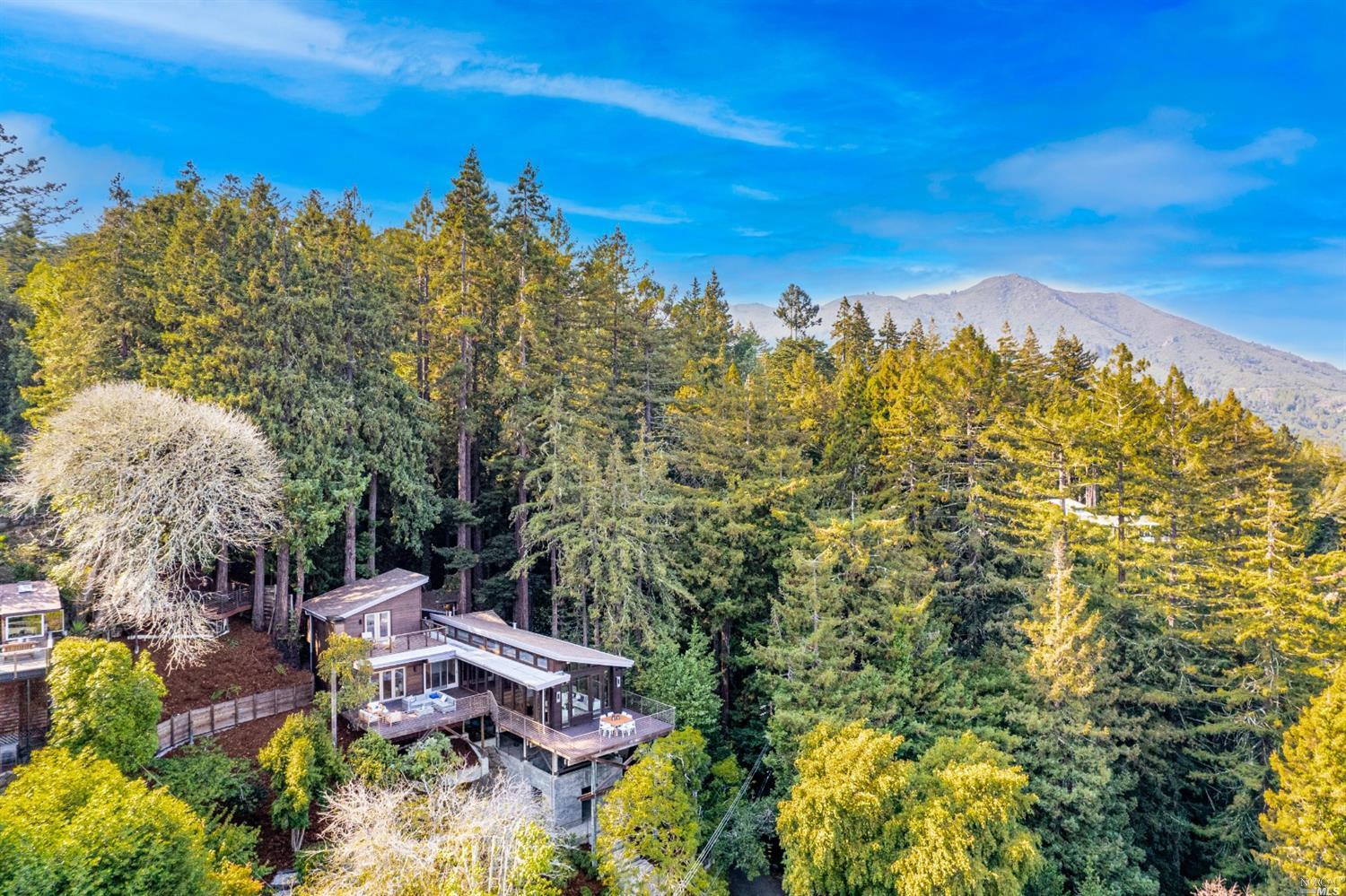 655 Edgewood Avenue Mill Valley, CA 94941 - Photo 8 of 85