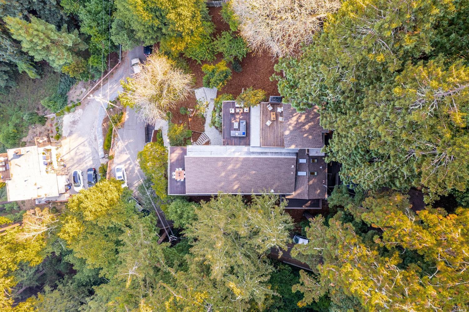 655 Edgewood Avenue Mill Valley, CA 94941 - Photo 9 of 85 a view of a house with a yard