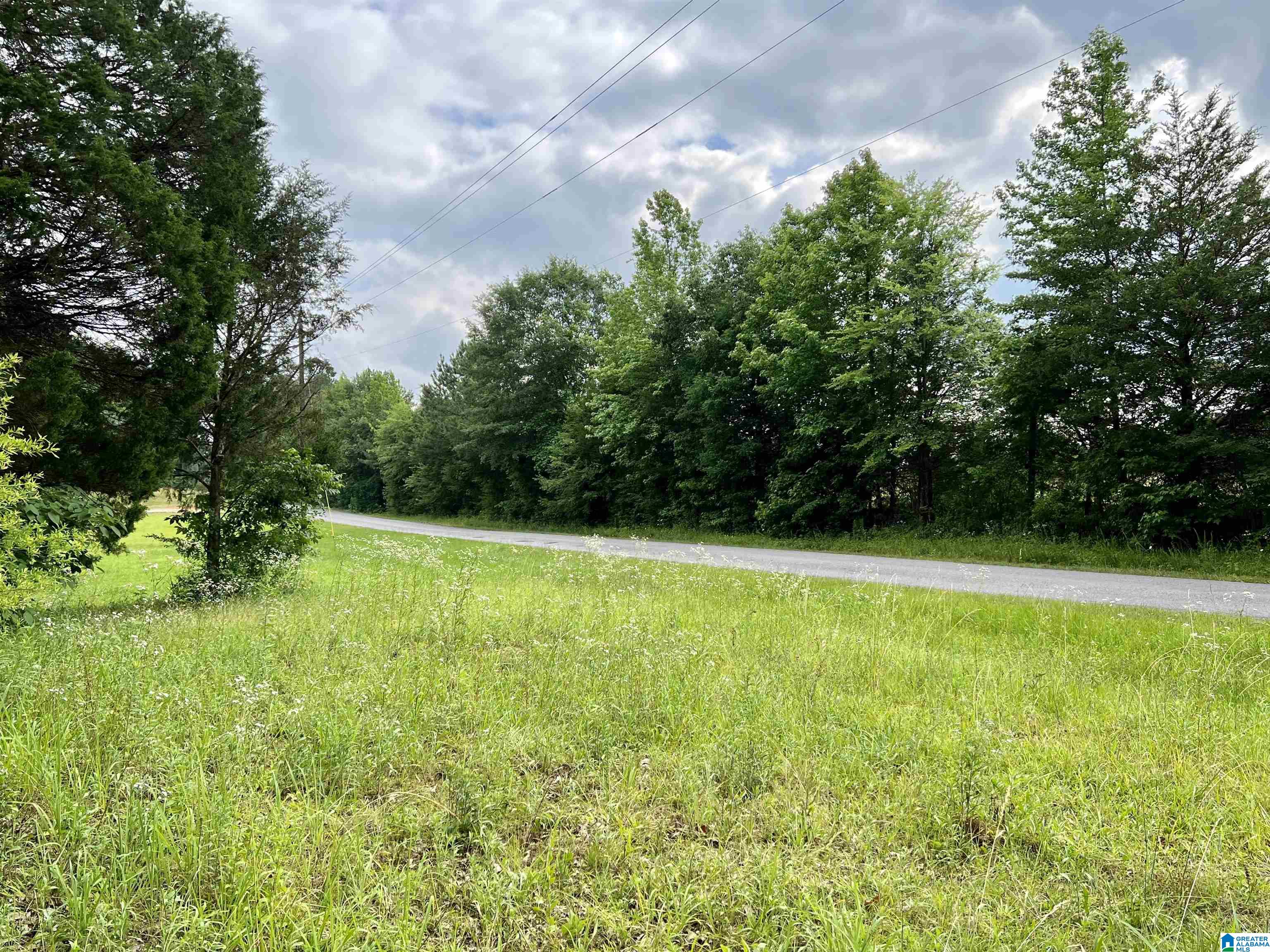 0 Fowler Springs Road, Unit 21 Blountsville, AL 35031 - Photo 24 of 24