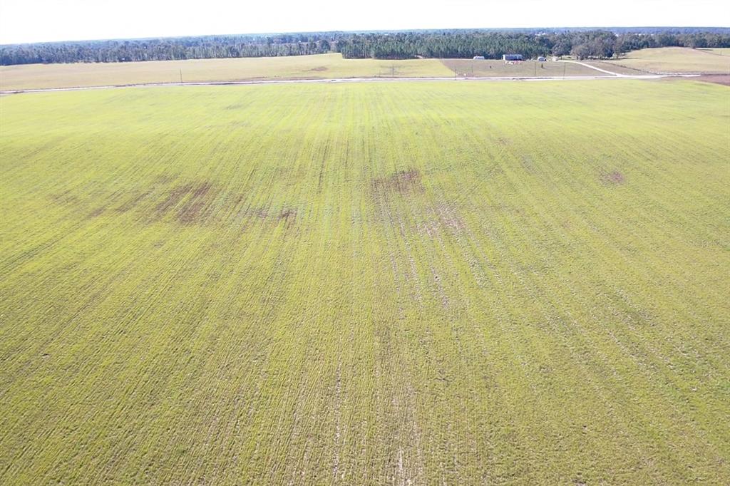 Northwest 72nd Place Bell, FL 32619 - Photo 1 of 11