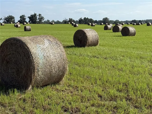 $299,000 | Northwest 72nd Place, Bell, FL 32619