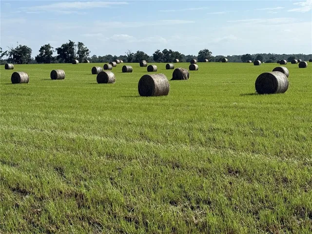 $299,000 | Northwest 72nd Place, Bell, FL 32619