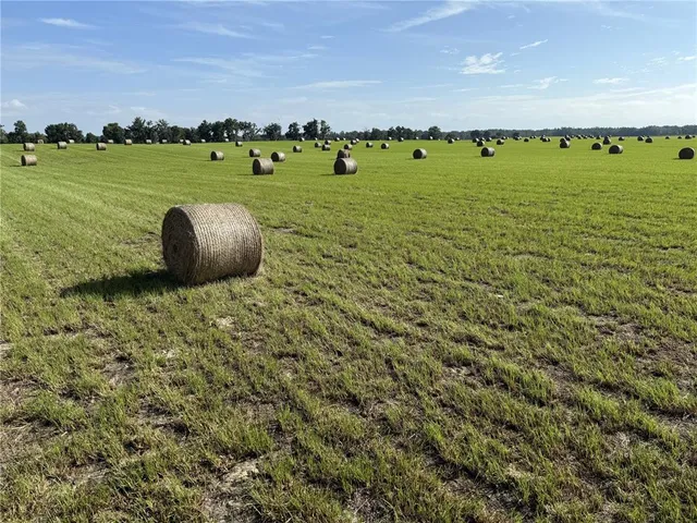 $299,000 | Northwest 72nd Place, Bell, FL 32619