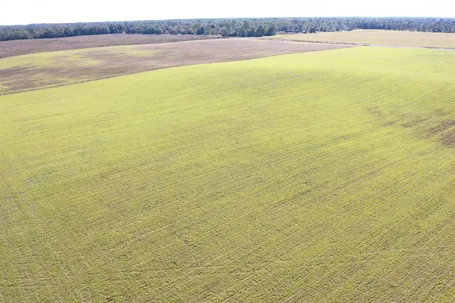 $299,000 | Northwest 72nd Place, Bell, FL 32619