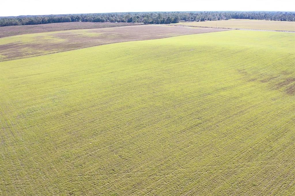 Northwest 72nd Place Bell, FL 32619 - Photo 5 of 11